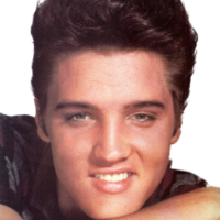 Rich Steele